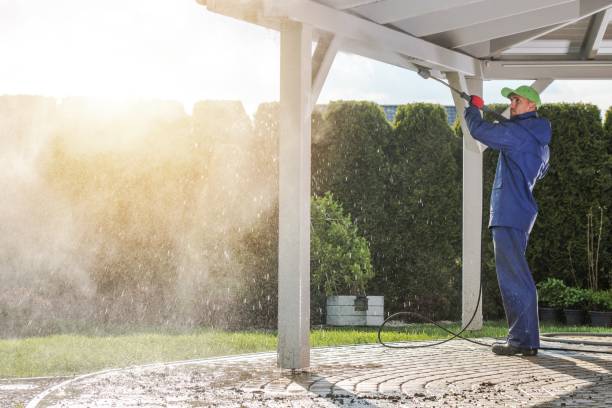 Best Fence Cleaning  in Roaring Spring, PA